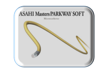 Masters Parkway Soft – 1,9 Fr Selective microcatheter