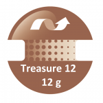 Treasure 12 Ny