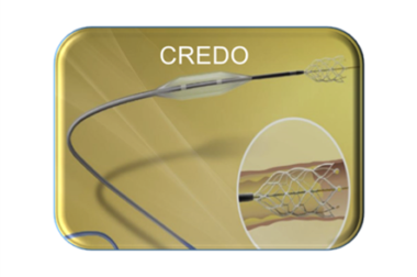 Acandis Credo Stent