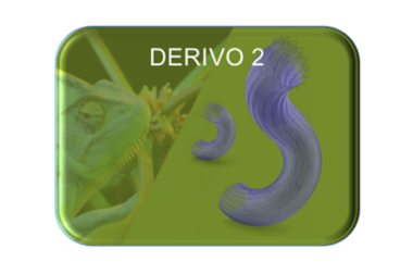 Acandis Derivo2 Flow Diverter
