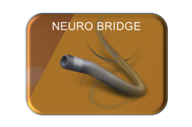 Acandis Neuro Bridge