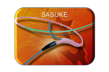Sasuke – Dual Lumen Microcatheter